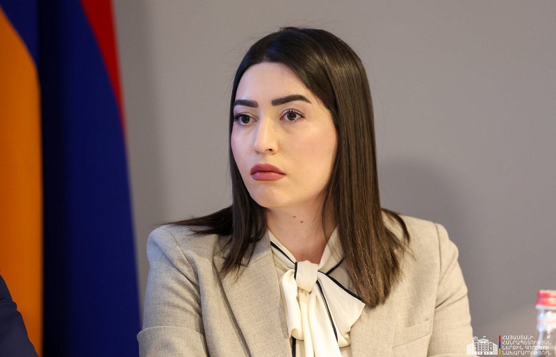 Министр внутренних дел Армении Арпине Саргсян на брифинге, выборы в Гегаркунике