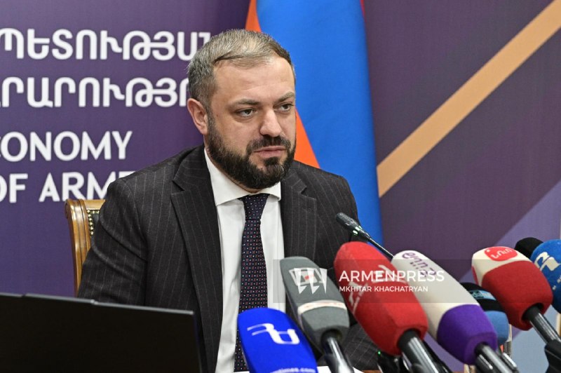 Пресс-секретарь министра экономики Армении Лилит Шабоян опровергает слухи о письме Папояна в Екатеринбург