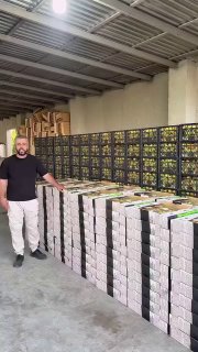 Первая партия армянских абрикосов для экспорта в Сингапур, компания Davtyan Farms, Гегаркуник
