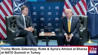 Дональд Трамп выступает с заявлением о приостановке торговли с Испанией