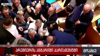 Драка в парламенте Грузии, Тбилиси, 19 февраля 2025