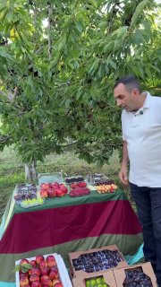 Первая партия армянских фруктов из Гегаркуника отправляется в ОАЭ