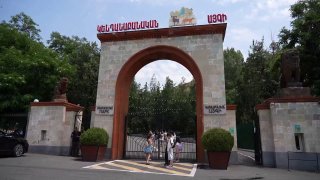 Животные из особняка Царукяна в карантинной зоне Ереванского зоопарка